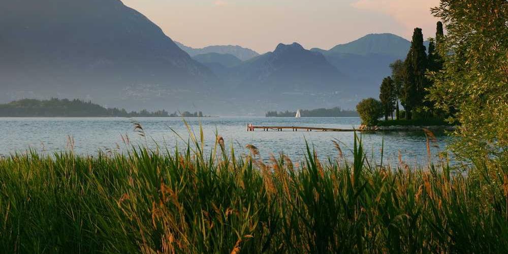 Example Article: How to Build a Simple [Project]